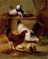 Palomas y gallinas animales de granja Edgar Hunt
